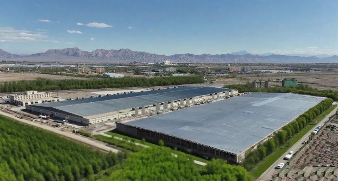 1762131267816601.jpg 111.jpg